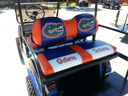 Club Car DS Electric Custom FL Gator Country Golf Cart ECCGC My Store